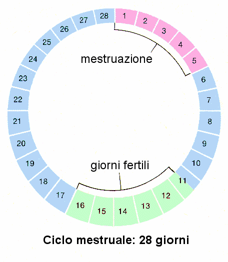 ciclo_mestruale